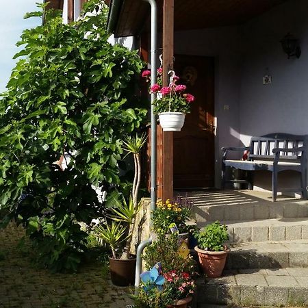 ArtolsheimUrlaub Im Elsass公寓 外观 照片