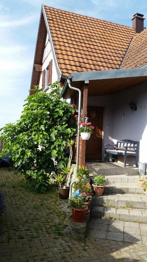 ArtolsheimUrlaub Im Elsass公寓 外观 照片